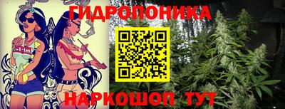 кокс Донской