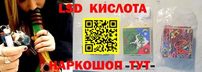 кокс Донской