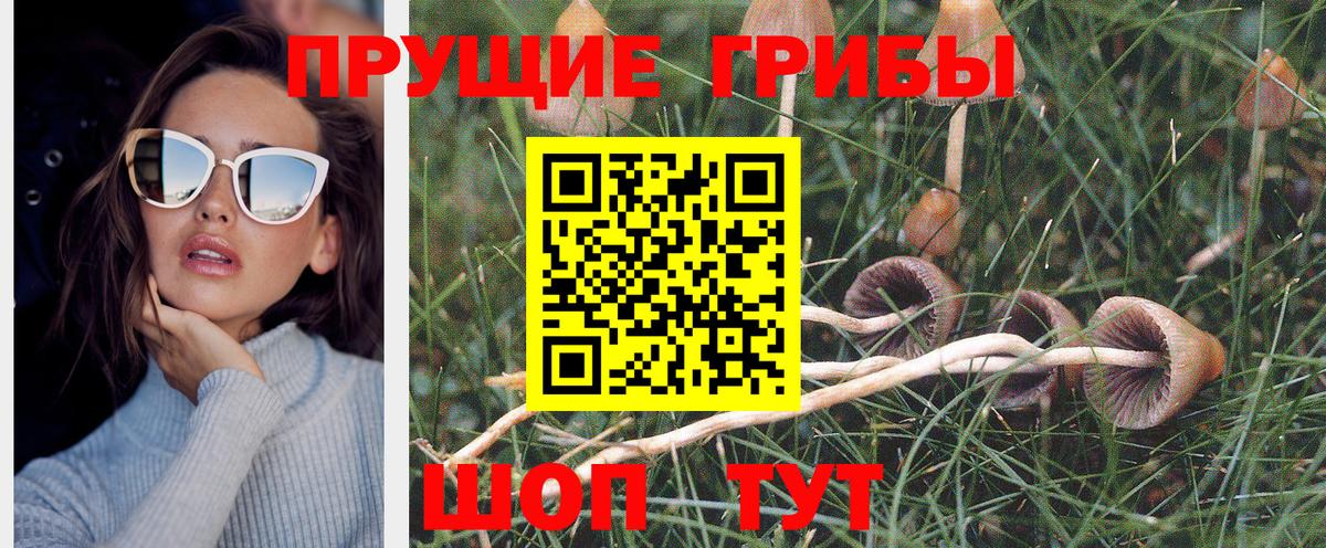 Псилоцибиновые грибы мухоморы  Вход с VPN  Галлюциногенные грибы MAGIC MUSHROOMS  Волжск 