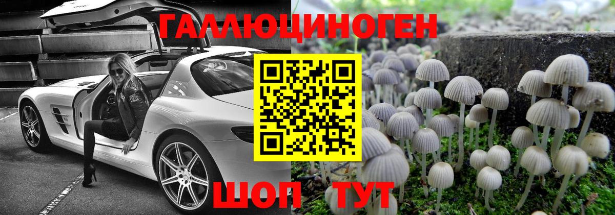 Галлюциногенные грибы GOLDEN TEACHER Волжск